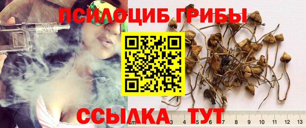 Псилоцибиновые грибы прущие грибы  Вход с VPN  Пенза 